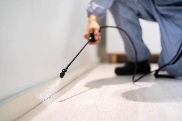Pest Prevention Services in Springfield, FL