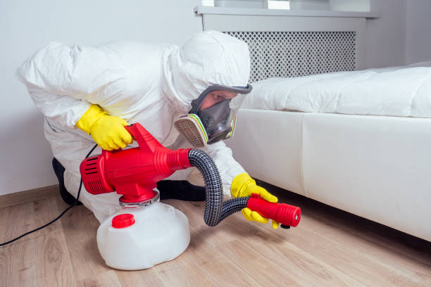 Best Affordable Pest Control Services  in Springfield, FL