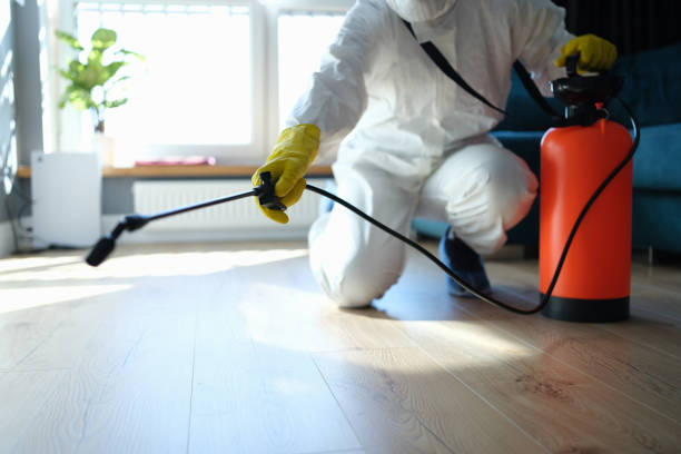 Best Commercial Pest Control Services  in Springfield, FL